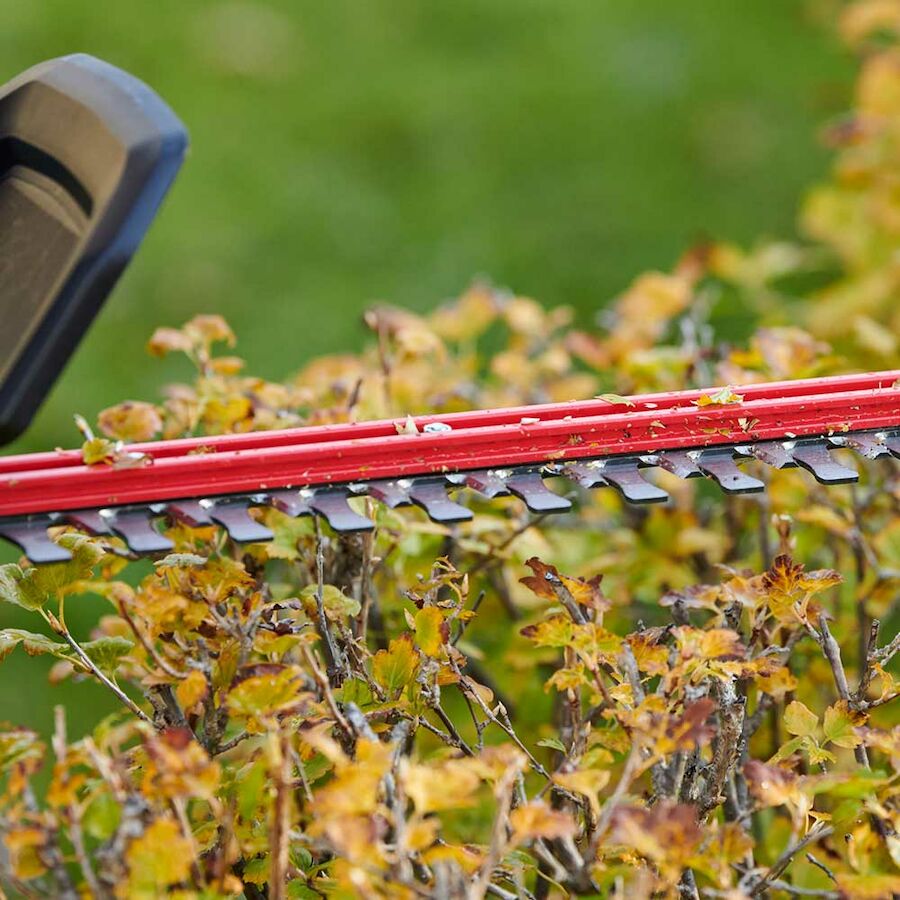 60V MAX* 24 in. (60.96 cm) Hedge Trimmer with 2.5Ah Battery